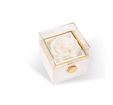 Fashion Acrylic Rotating Rose Jewelry Box - Magellan Fashion Shop