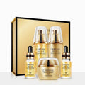 24k Gold Luxury Pet Skin Care Kit - Magellan Fashion Shop